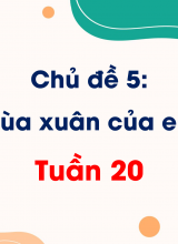 Chủ đề 5 Mùa xuân của em  Tuần 20